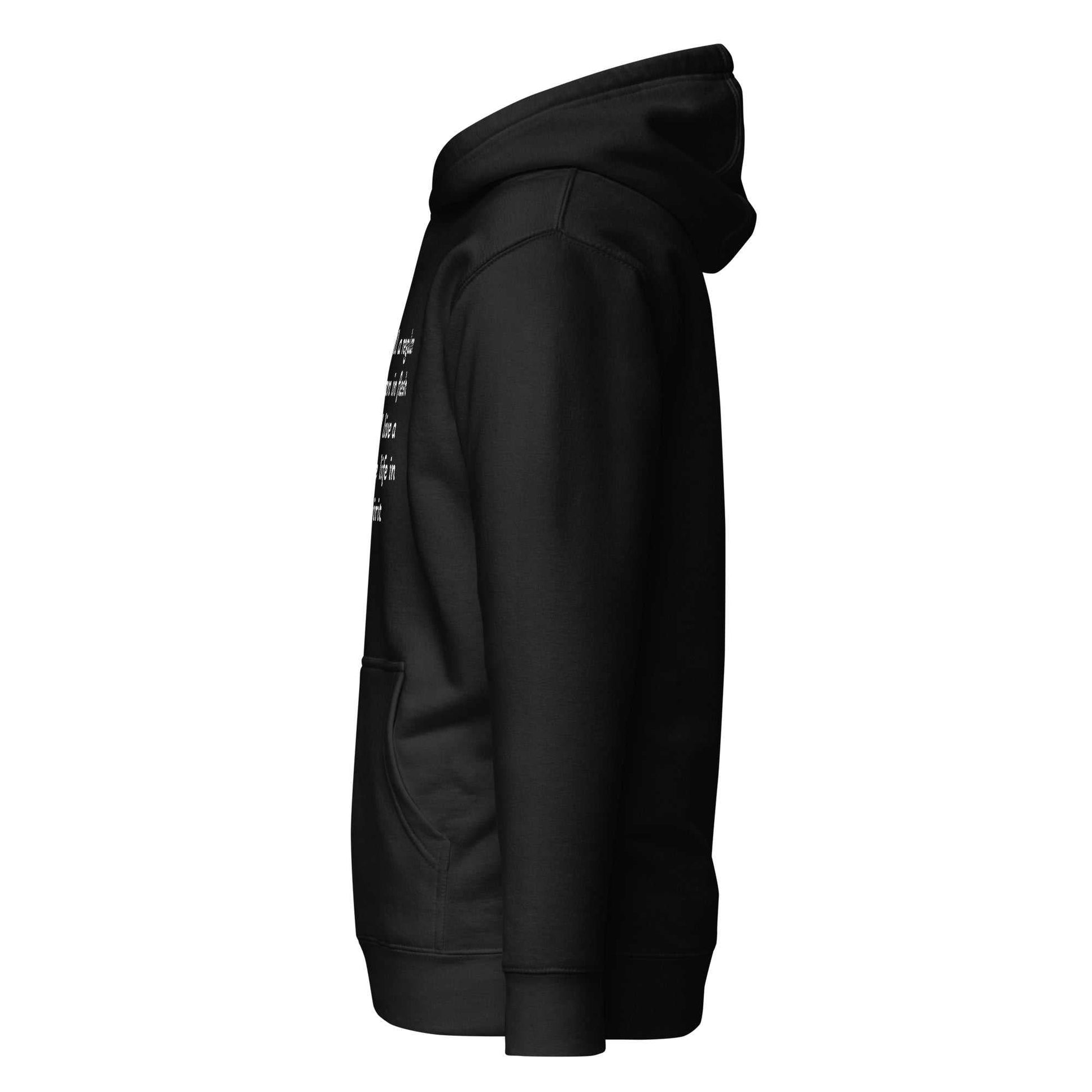 Unisex hoodie with premium cotton blend, brushed fleece lining, kangaroo pocket, and drawcord hood for divine energy and comfort