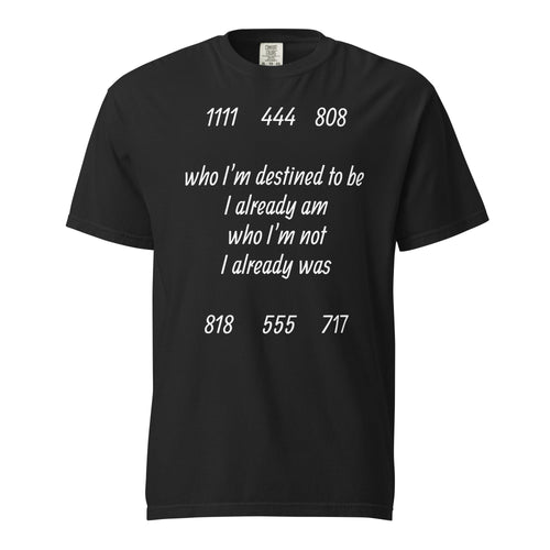 Unisex garment-dyed Alignment Protocol Tee with spiritual frequency symbols from Frequency Series
