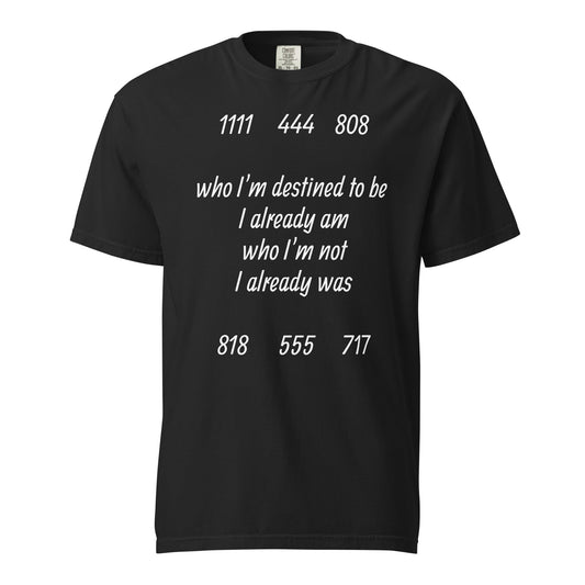 Unisex garment-dyed Alignment Protocol Tee with spiritual frequency symbols from Frequency Series